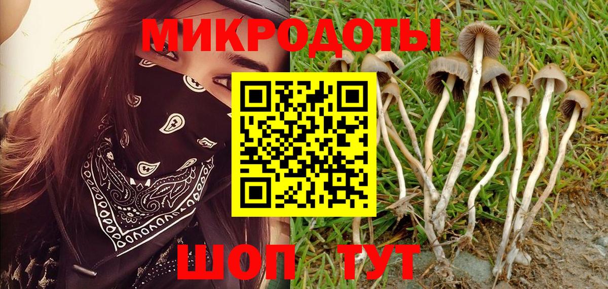 Галлюциногенные грибы мухоморы  Псилоцибиновые грибы Psilocybe  Бийск  Вход с VPN 