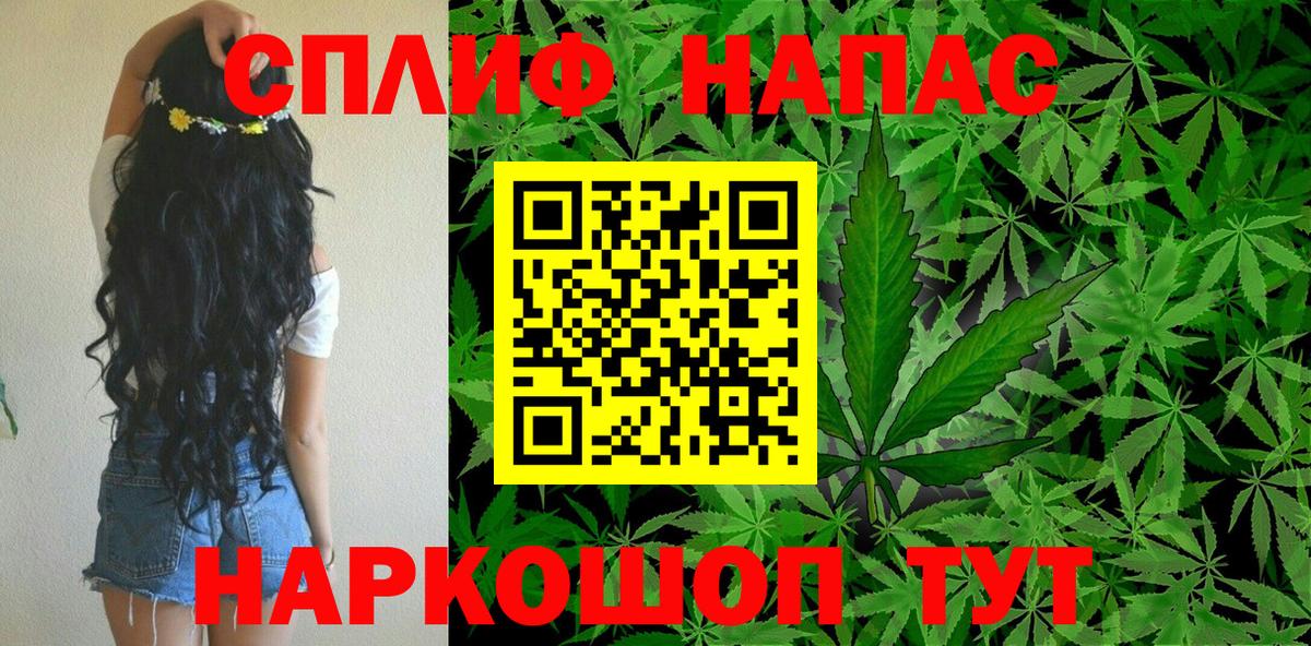 Бошки Шишки планчик Бийск